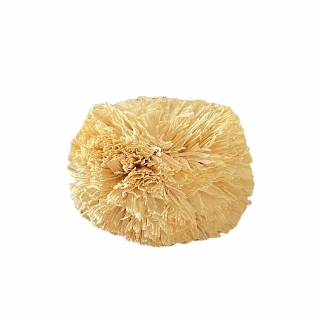Pompon