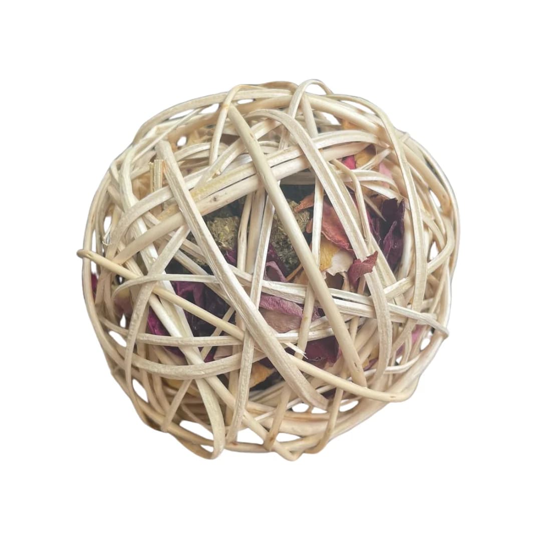 Pelota rellena - imagen 1