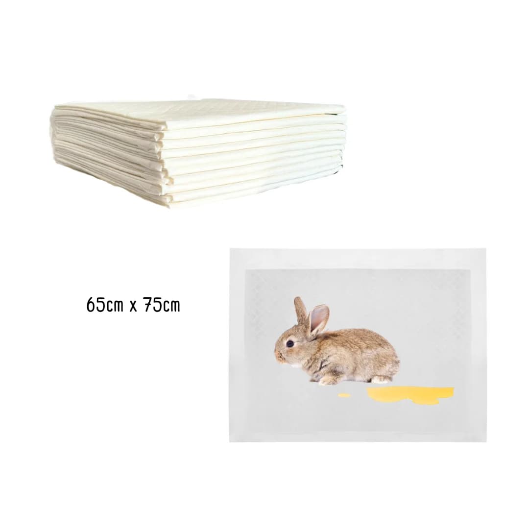 Toallas absorbentes x10 - imagen 1